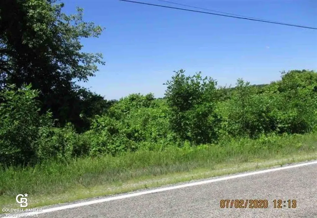 00 Belle River Lot R Road Riley Township MI 48041