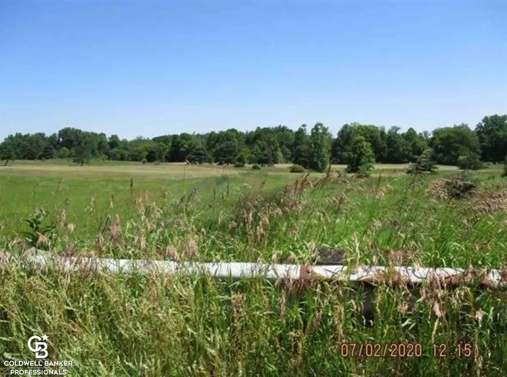 00 Belle River Lot R Road Riley Township MI 48041