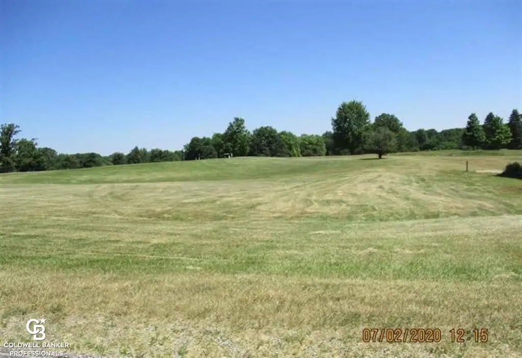00 Belle River Lot R Road Riley Township MI 48041