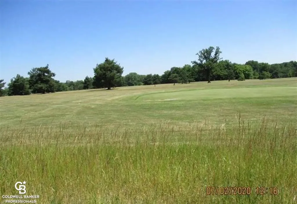00 Belle River Lot R Road Riley Township MI 48041