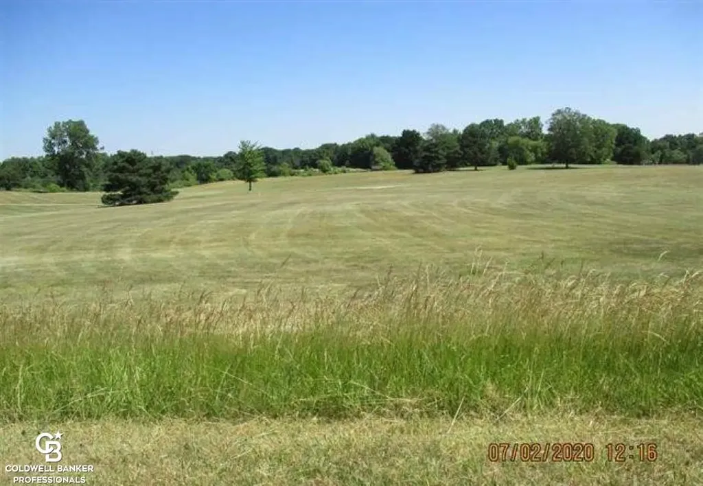 00 Belle River Lot R Road Riley Township MI 48041
