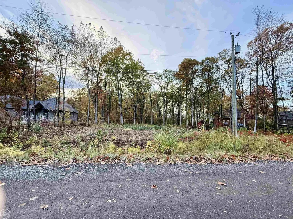 62747 Braun Drive Washington Township MI 48094
