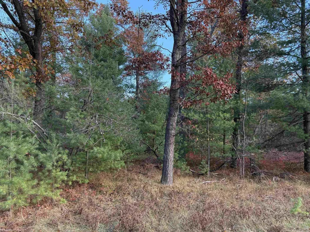 Lot 99 Wilderness Drive Moffatt Township MI 48610