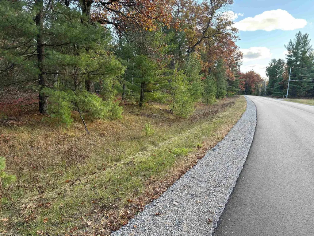 Lot 99 Wilderness Drive Moffatt Township MI 48610