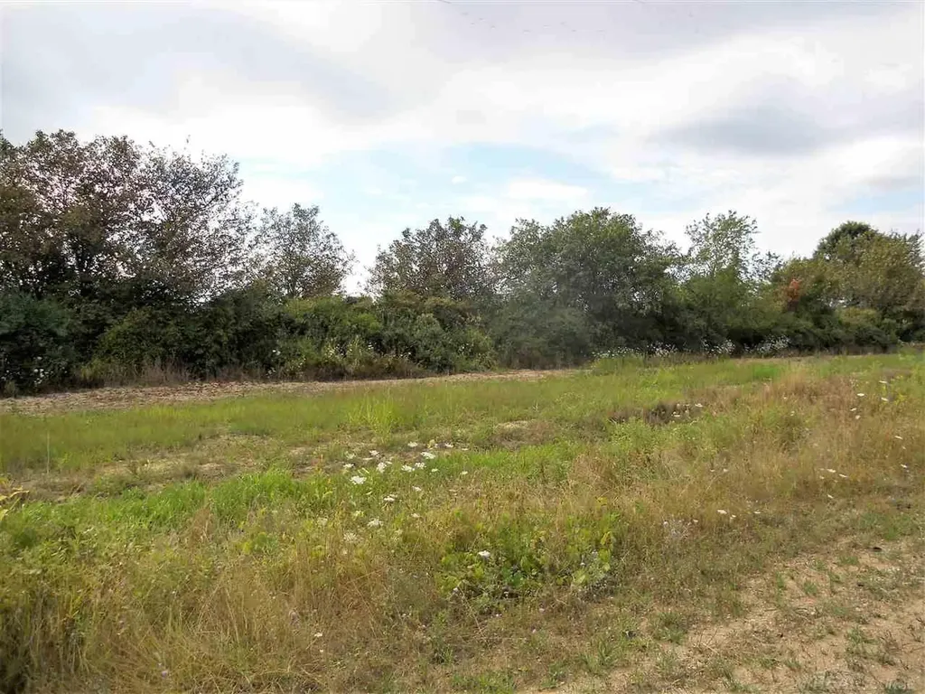 Parcel 3 Windmill Lane Imlay Township MI 48444
