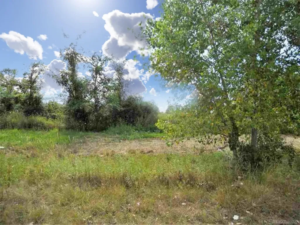 Parcel 3 Windmill Lane Imlay Township MI 48444