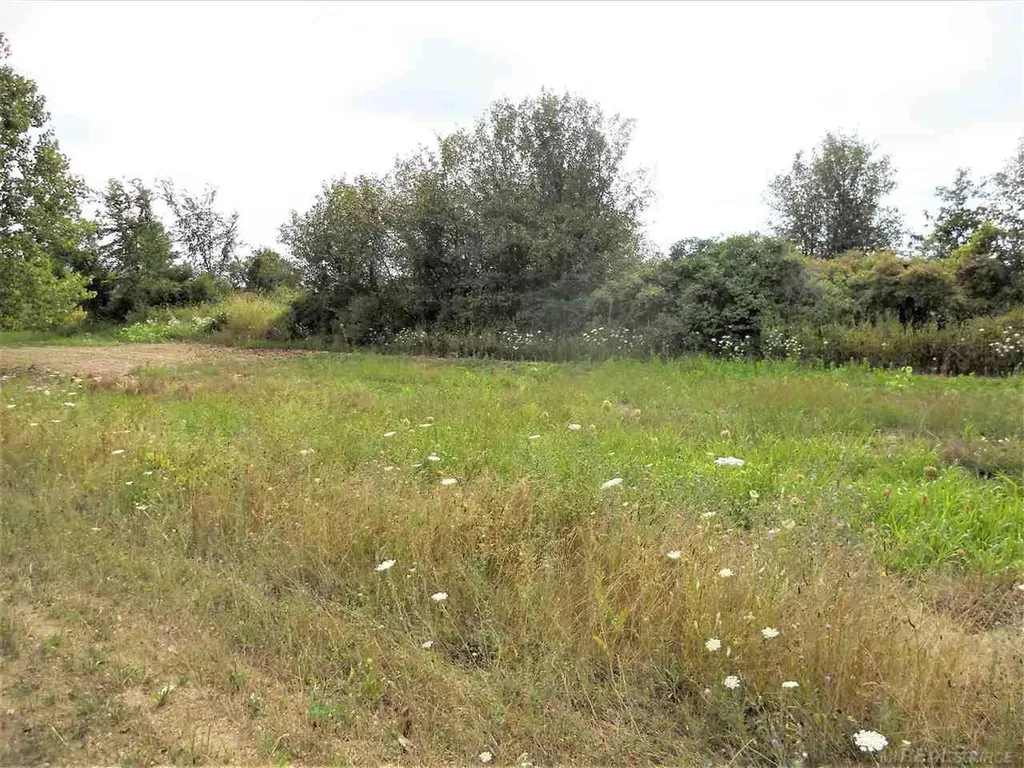 Parcel 3 Windmill Lane Imlay Township MI 48444