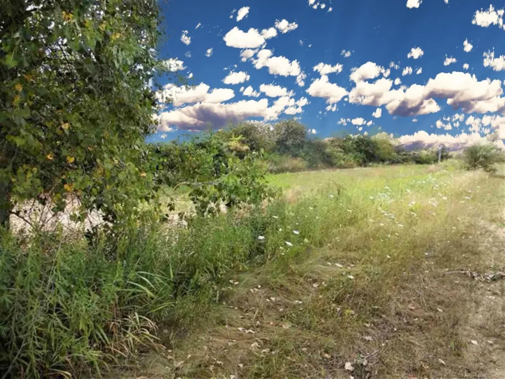 Parcel 3 Windmill Lane Imlay Township MI 48444