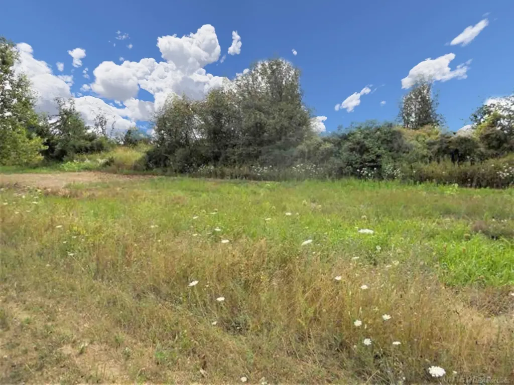 Parcel 3 Windmill Lane Imlay Township MI 48444