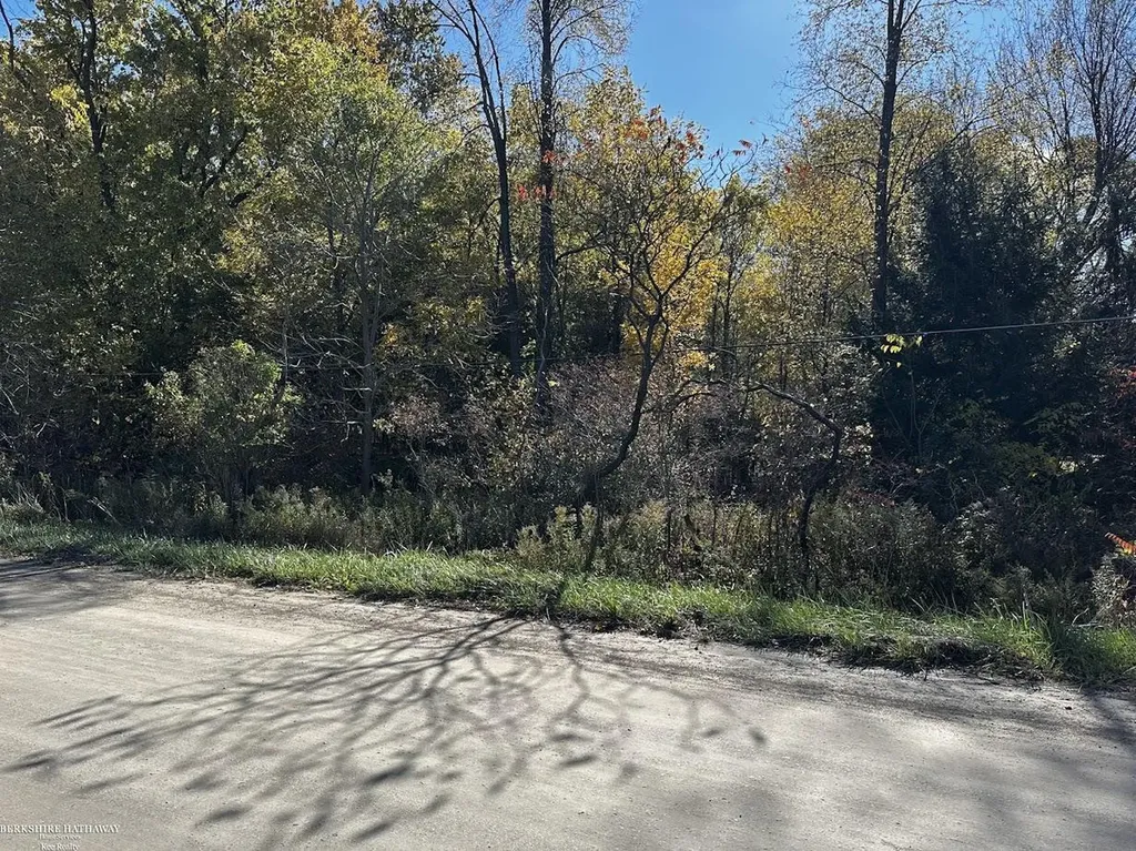 Parcel A2 Hunters Creek Road Imlay City City MI 48444