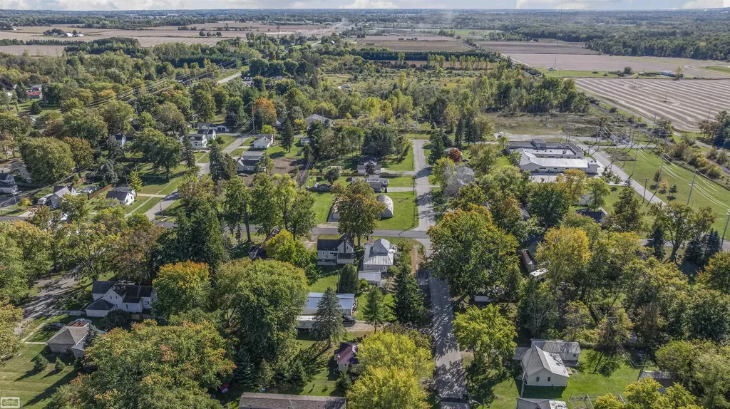 3905 Sheldon Road Carsonville Village MI 48419