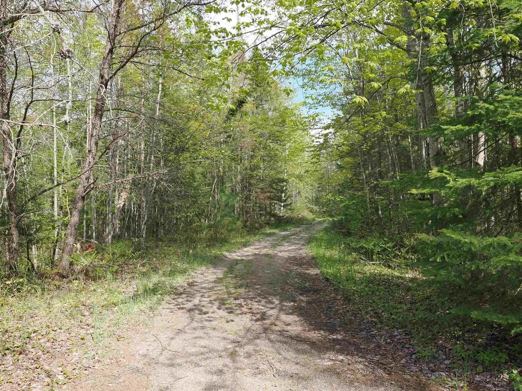 4011 Sandall Road Maple Ridge Township MI 49707