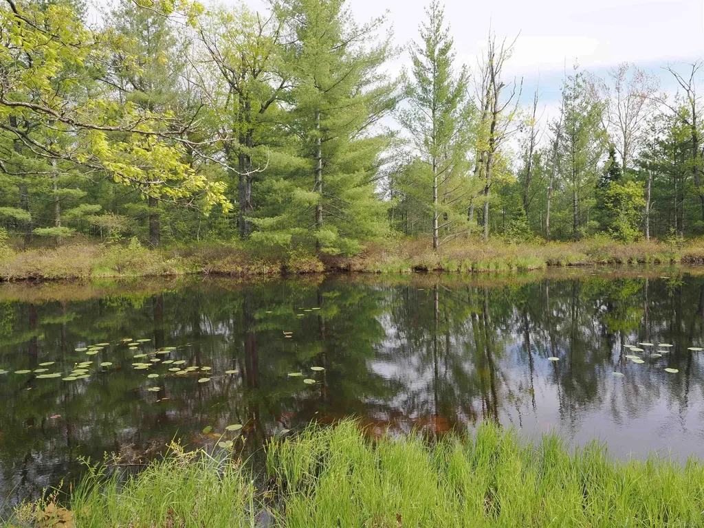 4011 Sandall Road Maple Ridge Township MI 49707