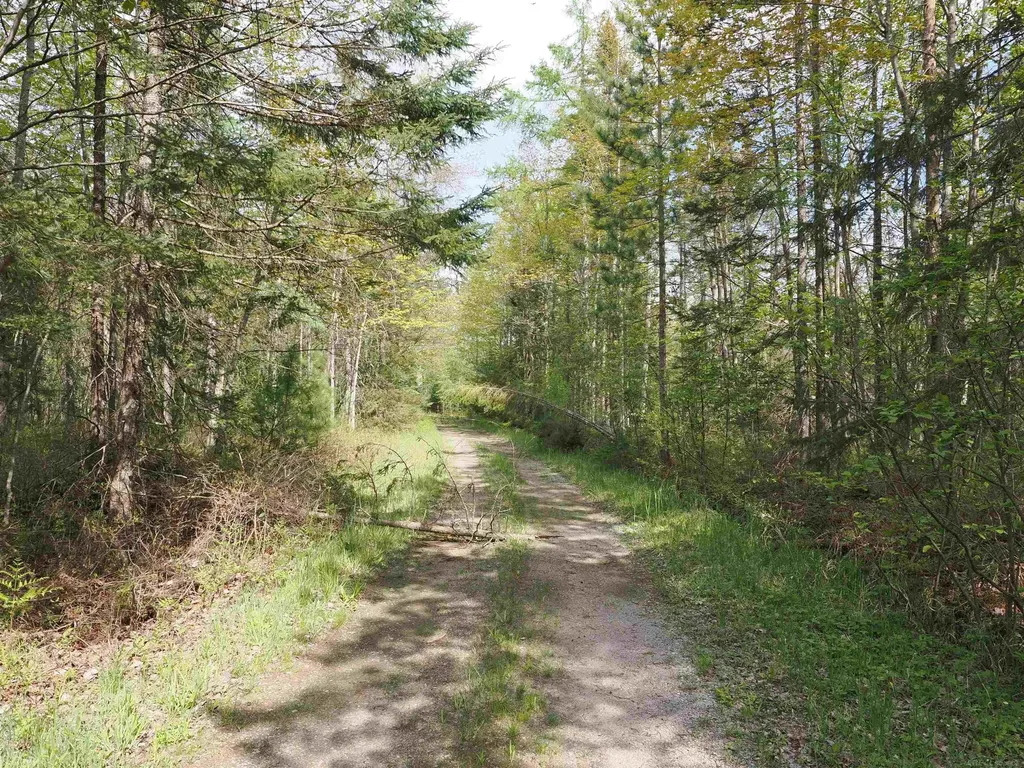 4011 Sandall Road Maple Ridge Township MI 49707