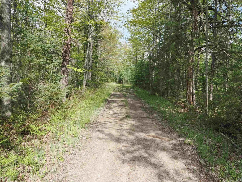 4011 Sandall Road Maple Ridge Township MI 49707