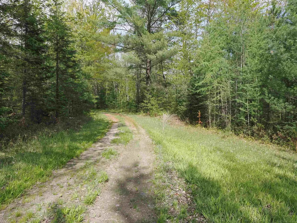 4011 Sandall Road Maple Ridge Township MI 49707