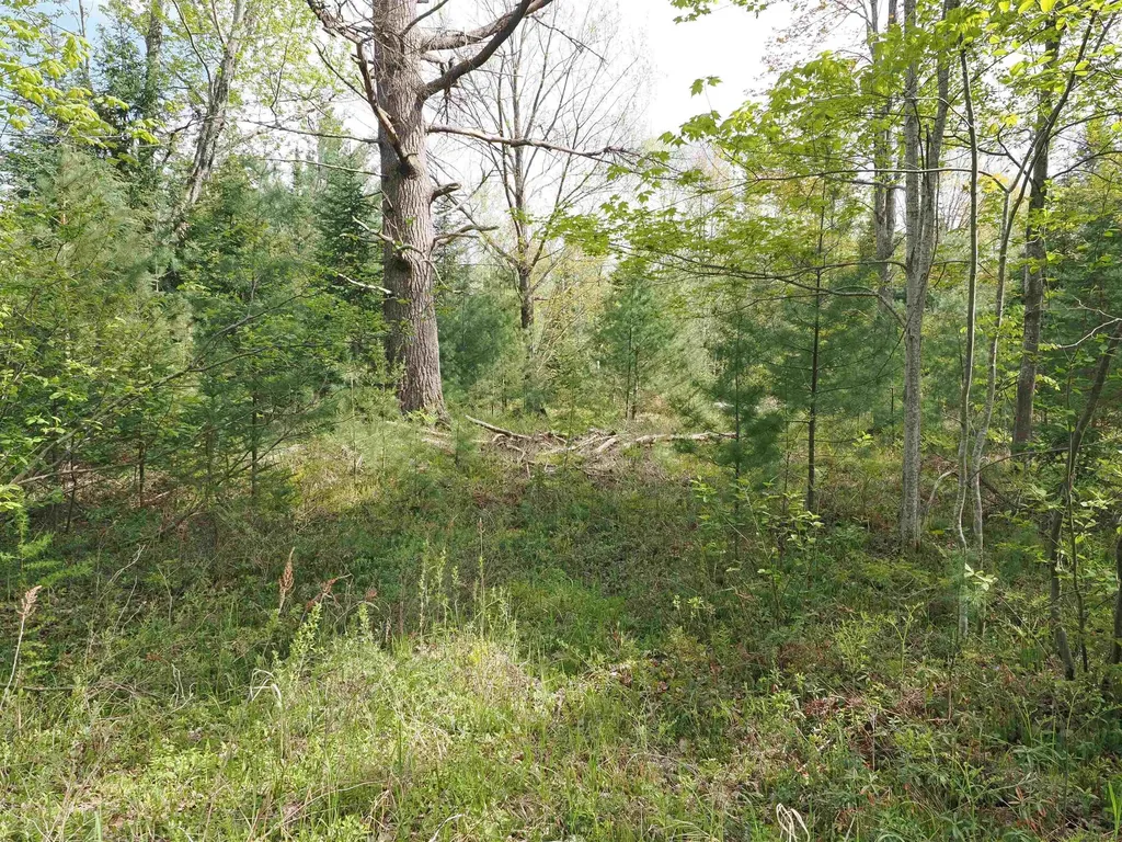 4011 Sandall Road Maple Ridge Township MI 49707