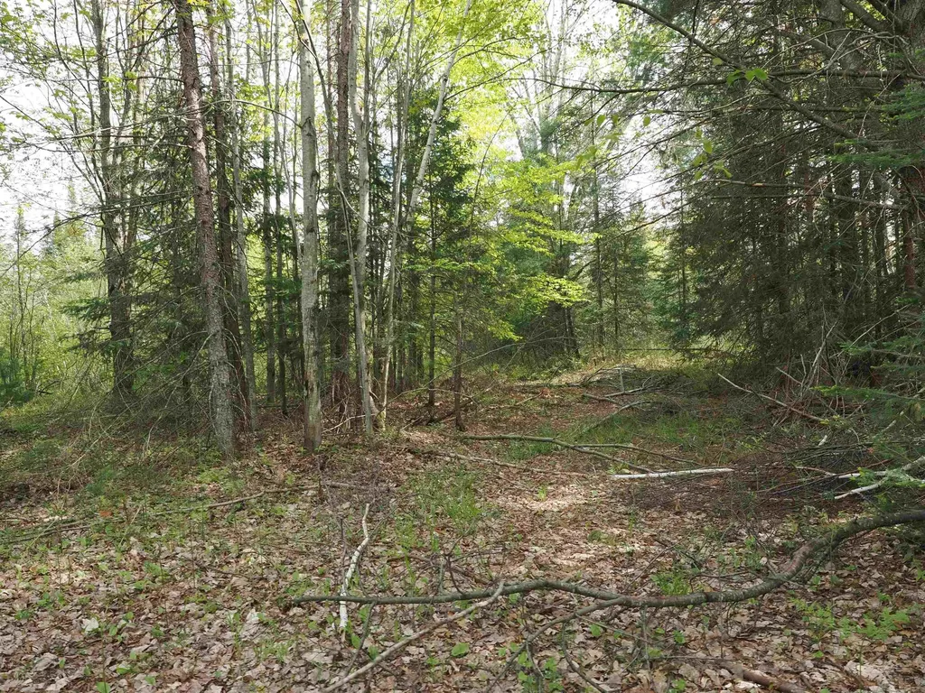 4011 Sandall Road Maple Ridge Township MI 49707