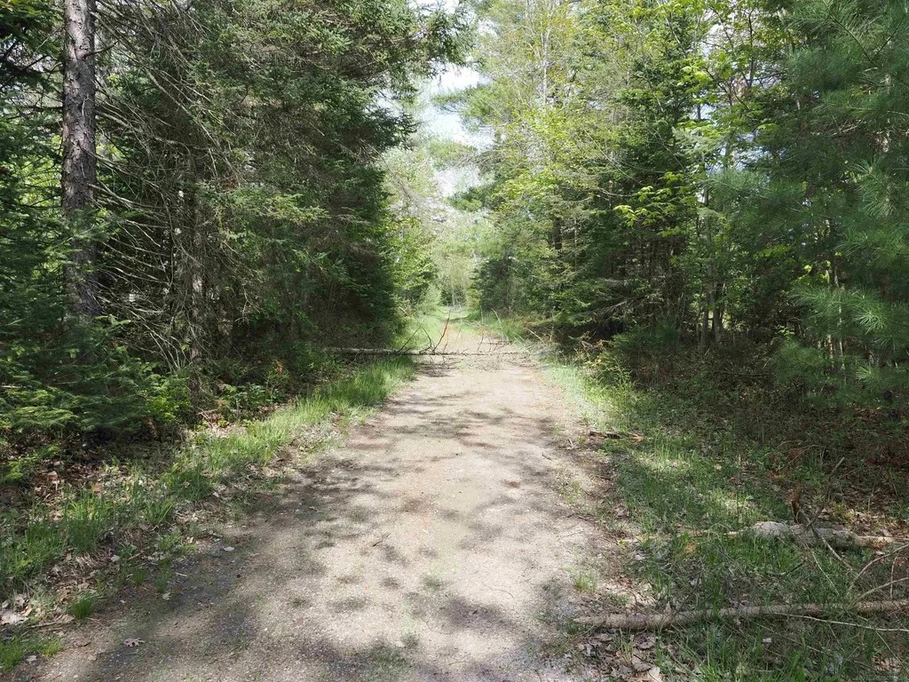 4011 Sandall Road Maple Ridge Township MI 49707