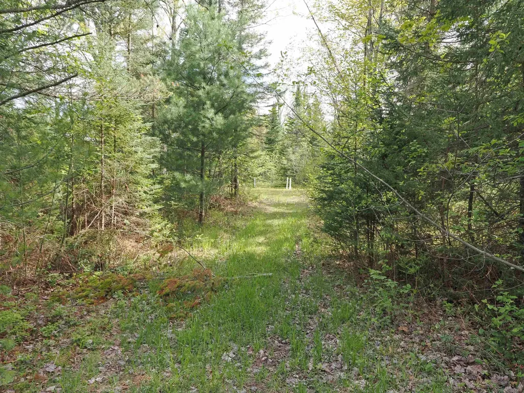 4011 Sandall Road Maple Ridge Township MI 49707