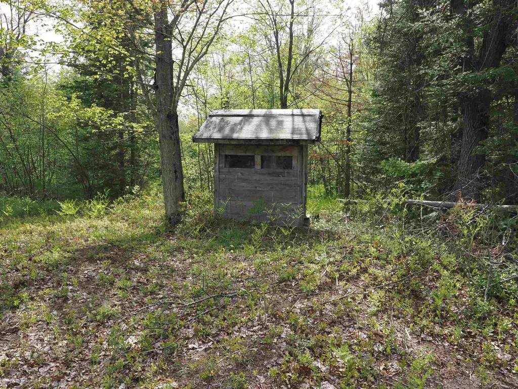 4011 Sandall Road Maple Ridge Township MI 49707