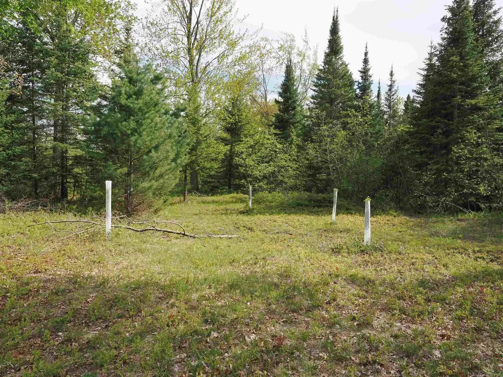 4011 Sandall Road Maple Ridge Township MI 49707