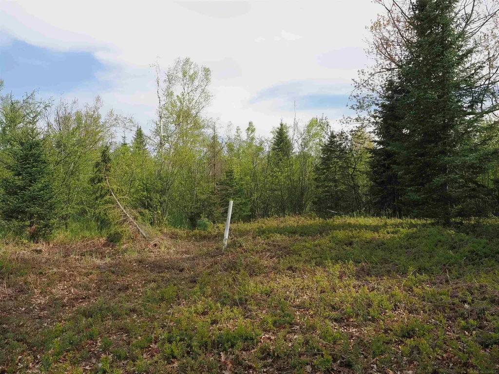 4011 Sandall Road Maple Ridge Township MI 49707