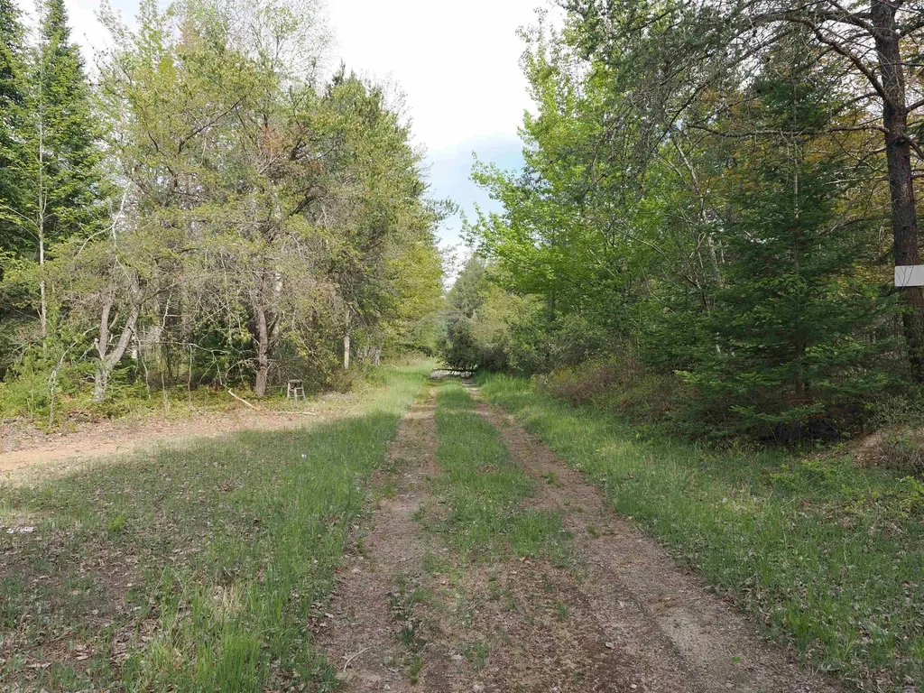 4011 Sandall Road Maple Ridge Township MI 49707