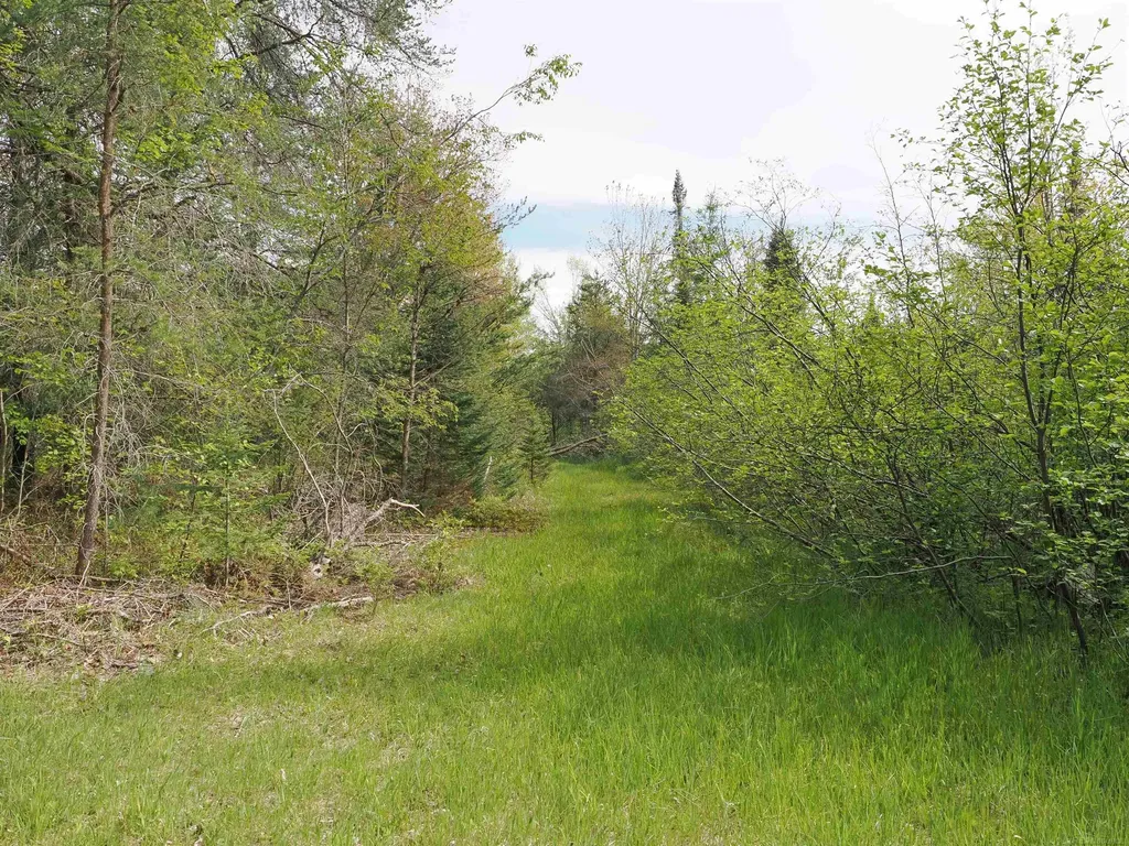 4011 Sandall Road Maple Ridge Township MI 49707