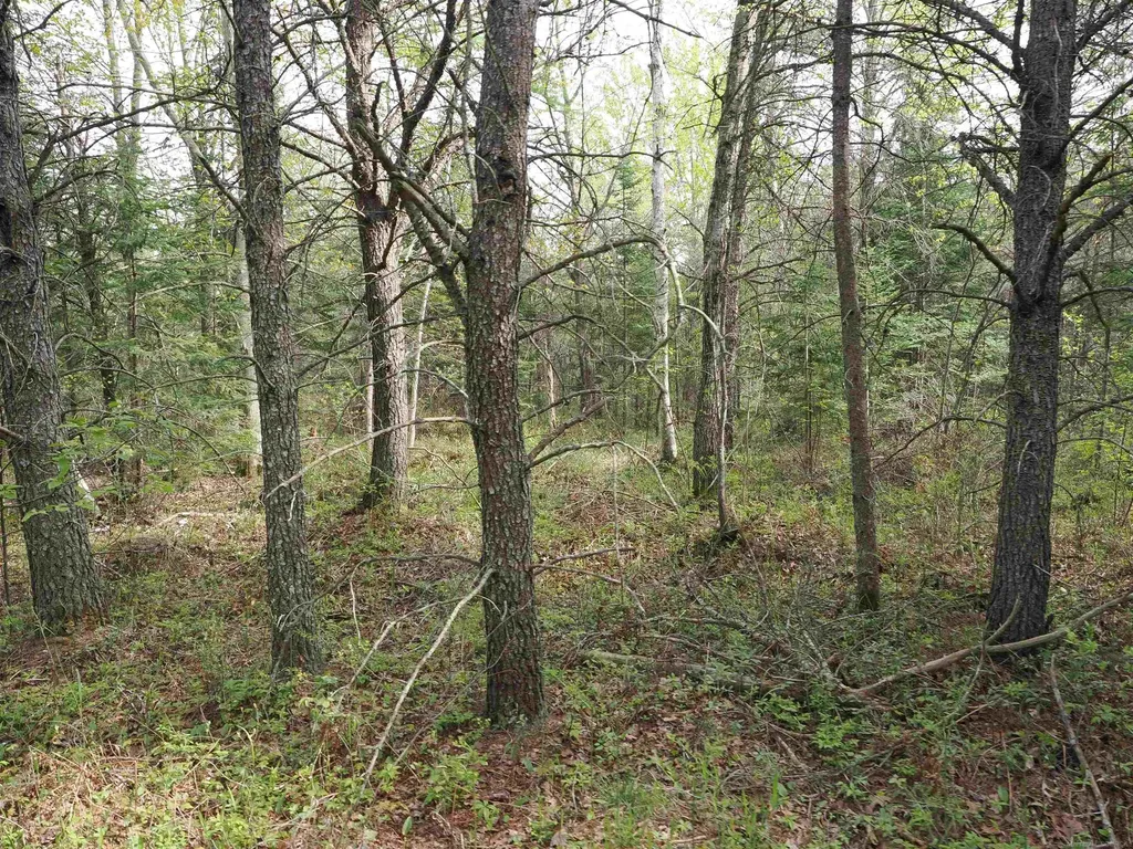 4011 Sandall Road Maple Ridge Township MI 49707