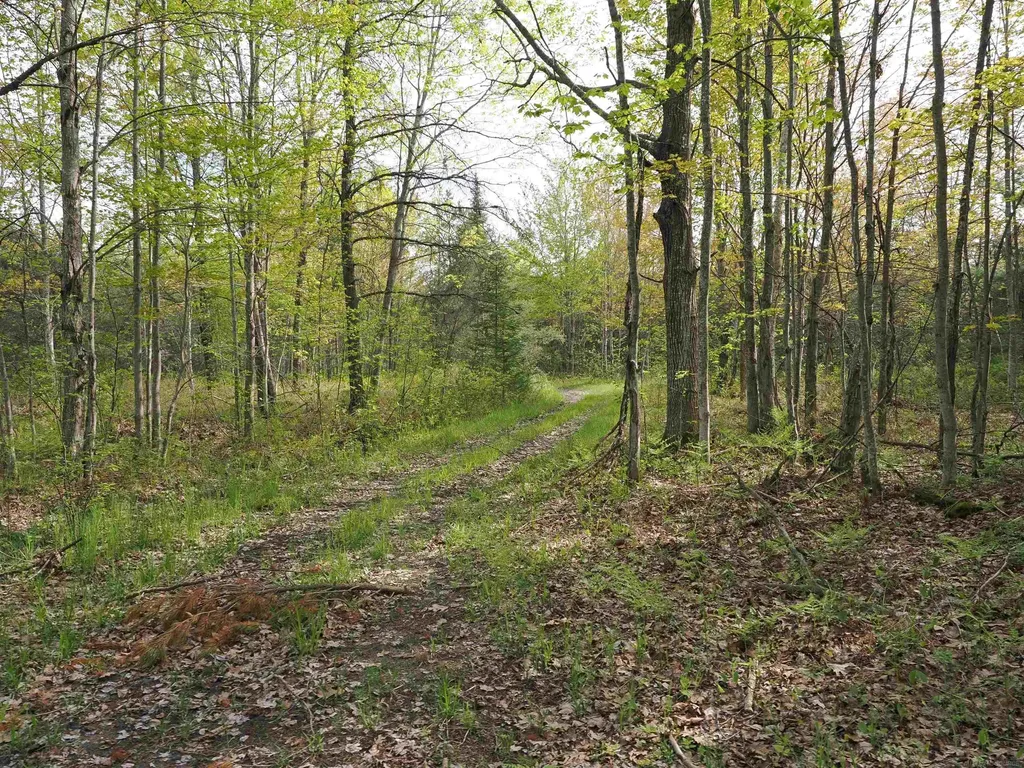 4011 Sandall Road Maple Ridge Township MI 49707