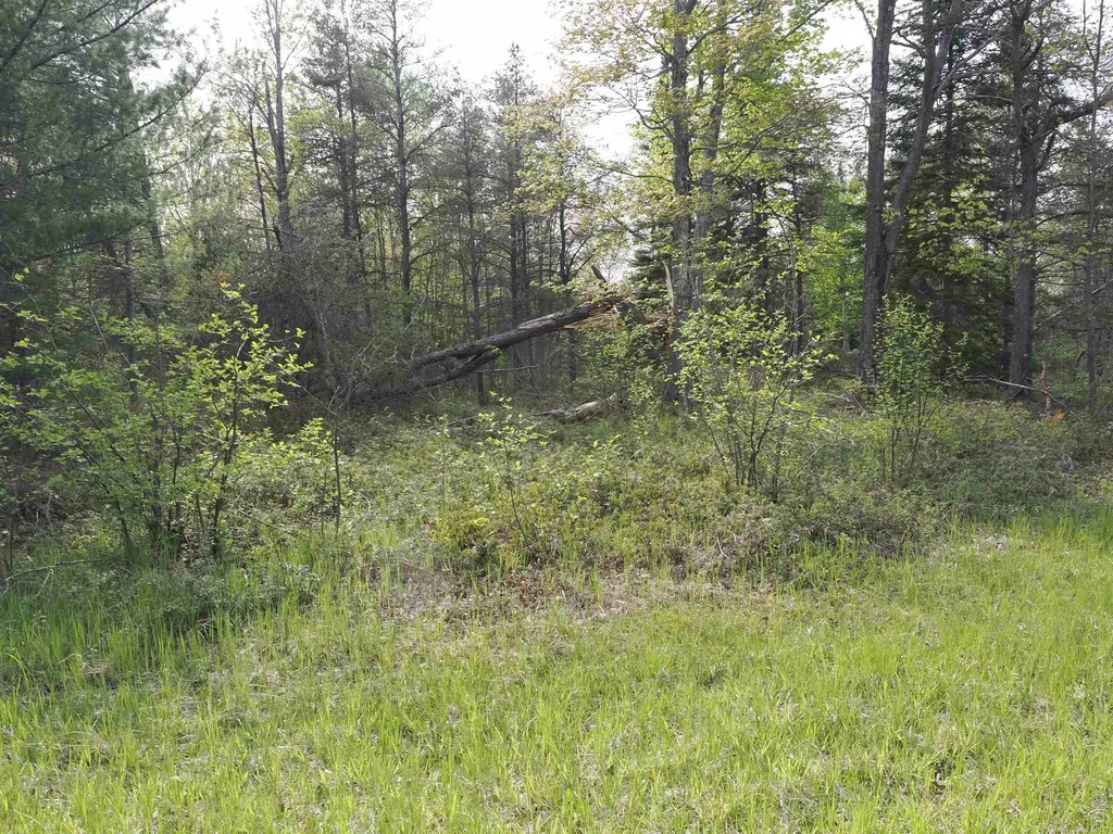 4011 Sandall Road Maple Ridge Township MI 49707