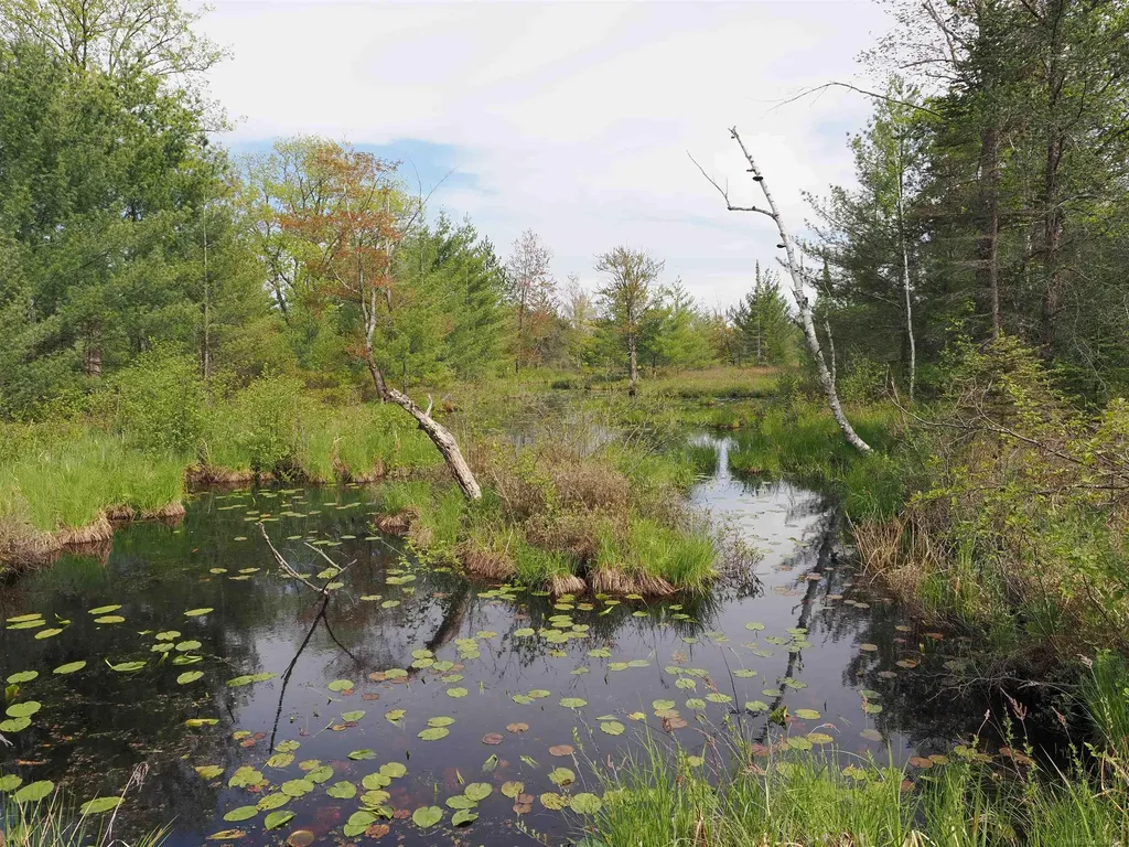 4011 Sandall Road Maple Ridge Township MI 49707