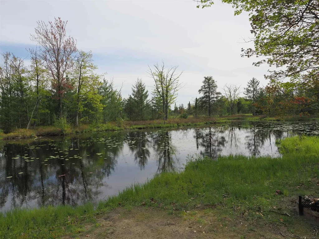 4011 Sandall Road Maple Ridge Township MI 49707