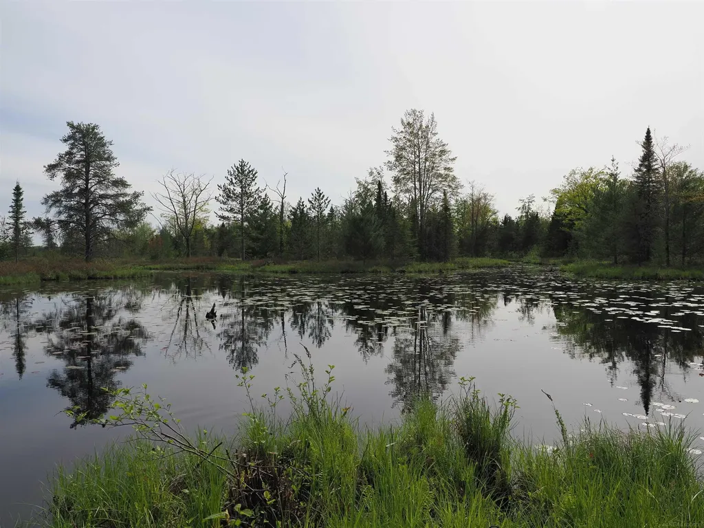 4011 Sandall Road Maple Ridge Township MI 49707