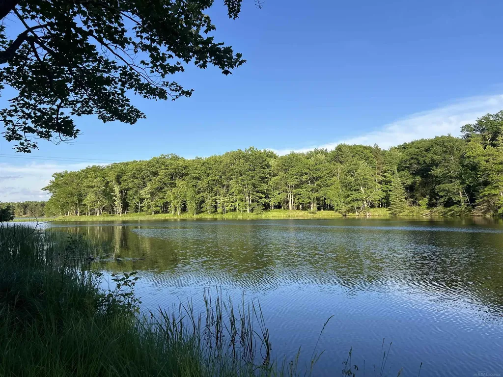 4001 Sandall Road Maple Ridge Township MI 49707