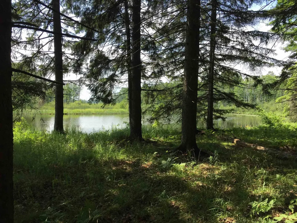 4001 Sandall Road Maple Ridge Township MI 49707