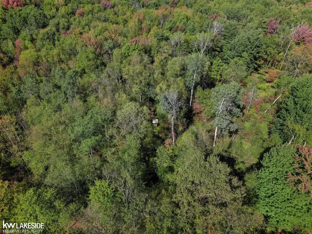 00 E Eddy Road Bridgehampton Township MI 48419