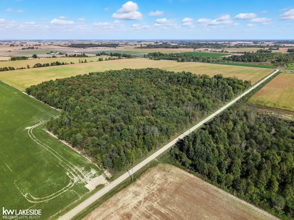 00 E Eddy Road Bridgehampton Township MI 48419