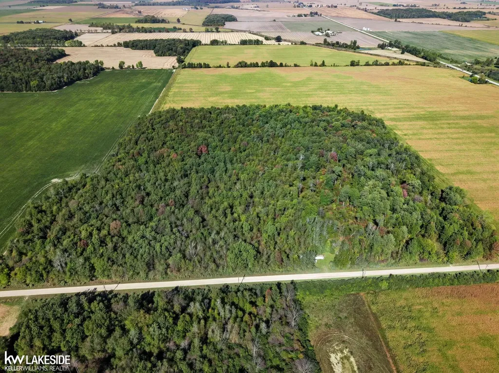 00 E Eddy Road Bridgehampton Township MI 48419