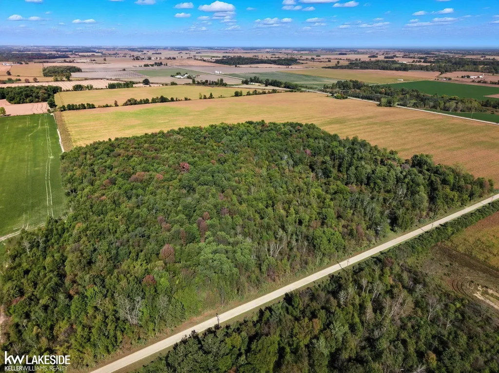 00 E Eddy Road Bridgehampton Township MI 48419