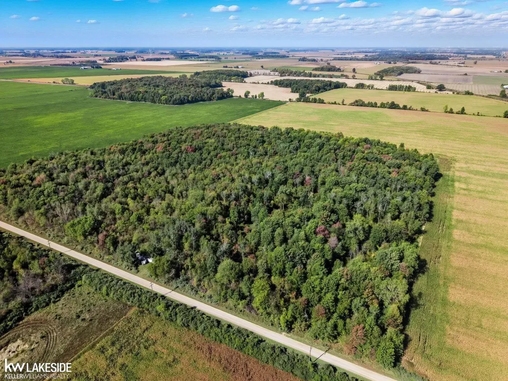 00 E Eddy Road Bridgehampton Township MI 48419