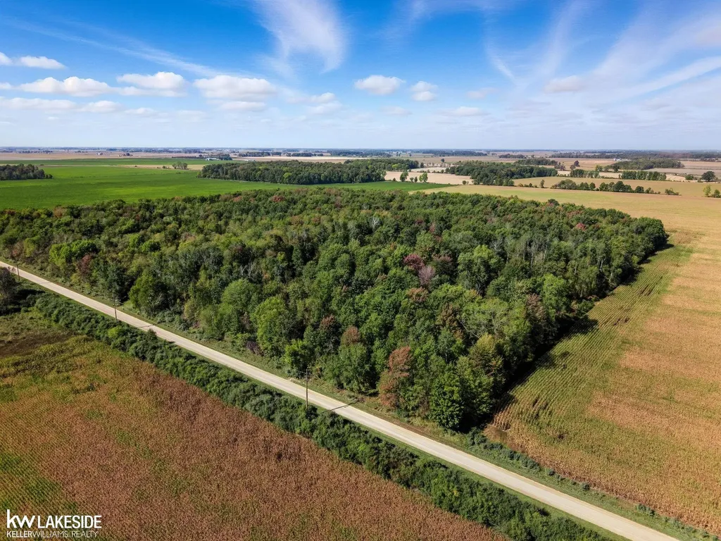 00 E Eddy Road Bridgehampton Township MI 48419