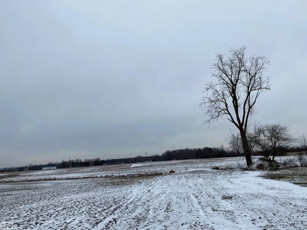 9977 Weber Road Columbus Township MI 48063