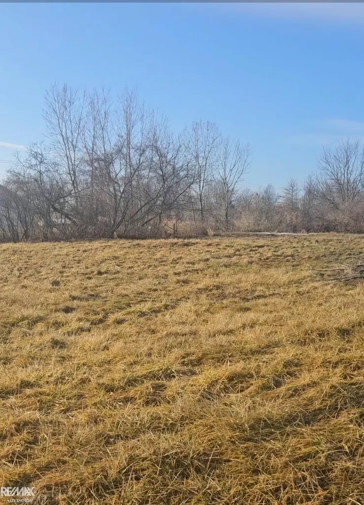 5082 Palms Road Casco Township MI 48064