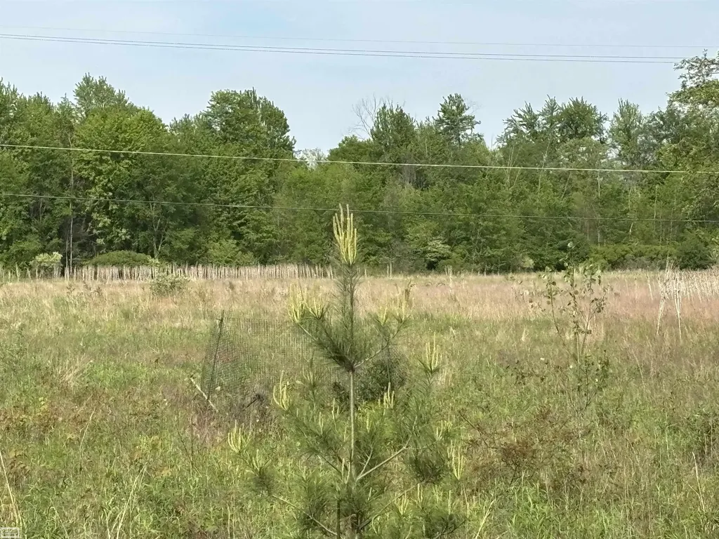 Richman Road Kimball Township MI 48074