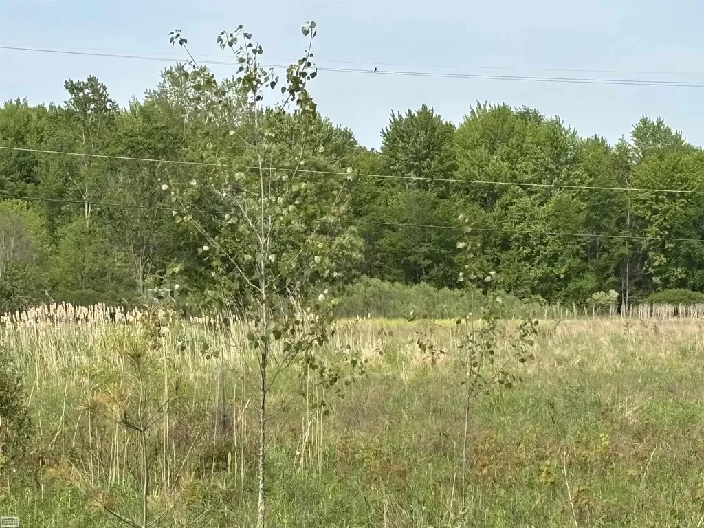 Richman Road Kimball Township MI 48074