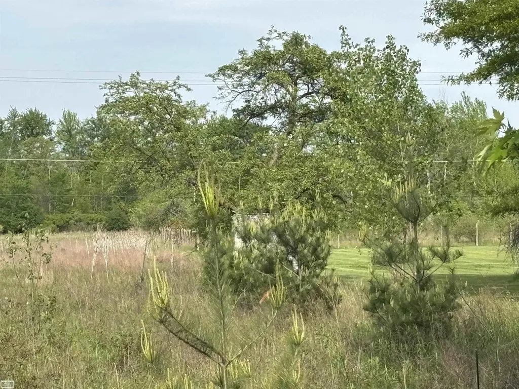 Richman Road Kimball Township MI 48074