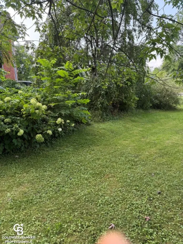 10729 Brandon Road Emmett Village MI 48022