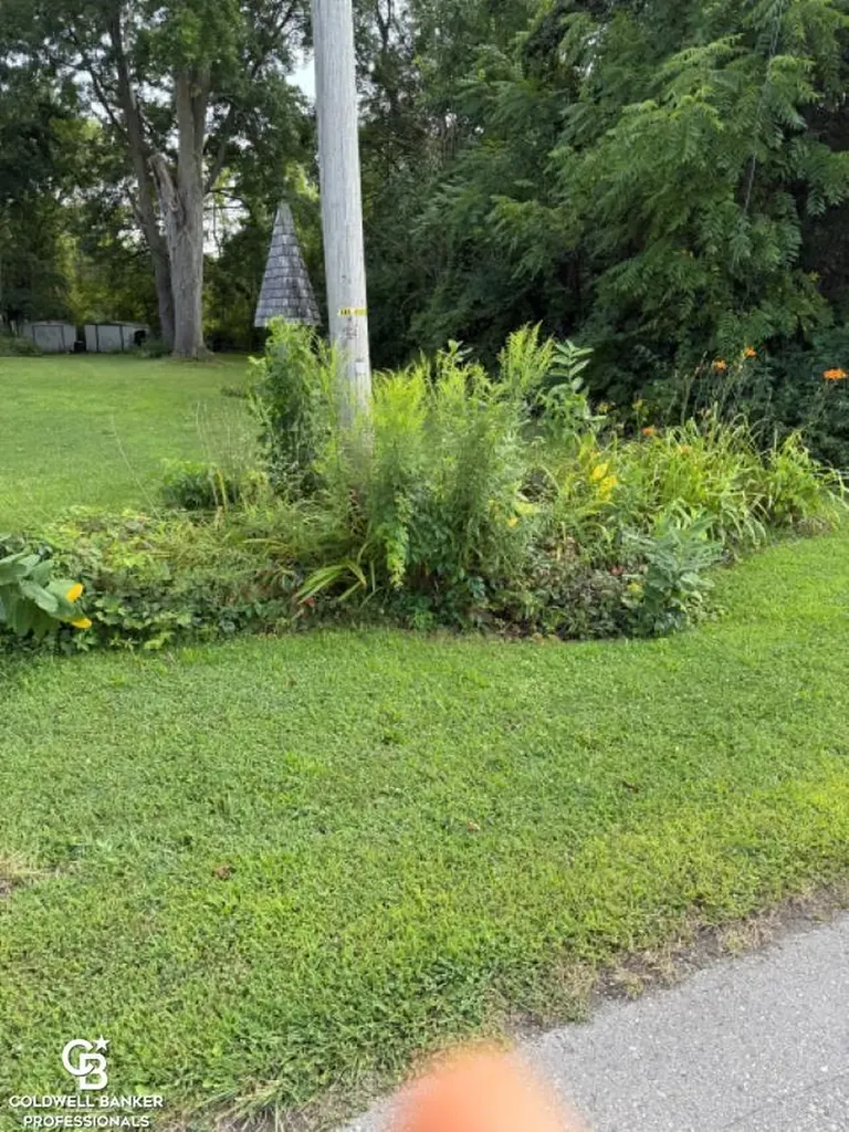 10729 Brandon Road Emmett Village MI 48022